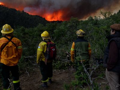 Provincia y Nación acordaron la continuidad de los 18 brigadistas del Parque Nacional Lanín