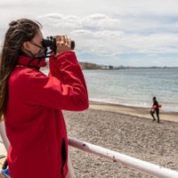 Rescate exitoso: un perro cayó al mar y lo salvaron de milagro