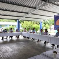Colectivos presumen que Semarnat se comprometió a frenar permisos para granjas porcícolas en Yucatán