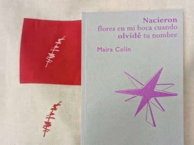 Maira Colín y el día cuando olvidé tu nombre