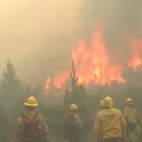 Alerta en la Patagonia: se incendiaron 30 mil hectáreas este verano