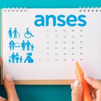 Cómo quedó el calendario de pagos de la ANSES para noviembre