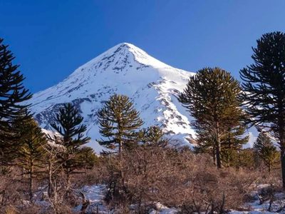 Volcán Lanin: Parques Nacionales convocará a la Provincia y a los pueblos originarios