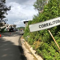 Sierra de Guerrero: sin servicios educativos, médicos ni de transporte debido a la disputa por el tráfico de opio