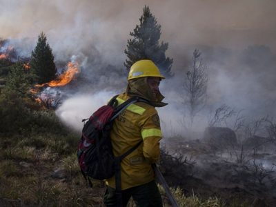 Neuquén recibirá una donación de Nación por los incendios forestales: de cuánto dinero se trata