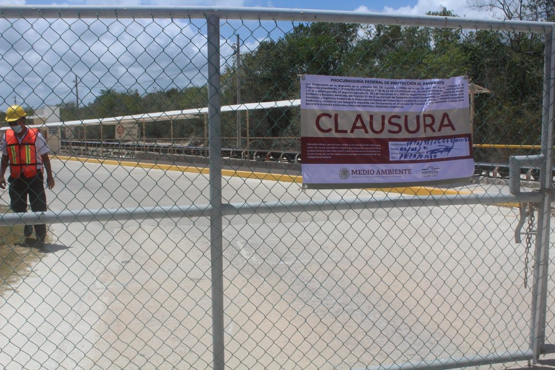 A´rea de Calica (5)