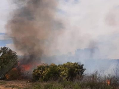 Entre ayer y hoy, se registraron tres grandes incendios de pastizales en Senillosa