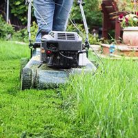 Lo dicen los jardineros: cada cuánto hay que cortar el césped para que crezca sano y parejo