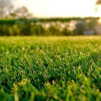 Cuándo y cómo regar el césped del jardín de forma eficiente para no derrochar agua: el tip de los jardineros