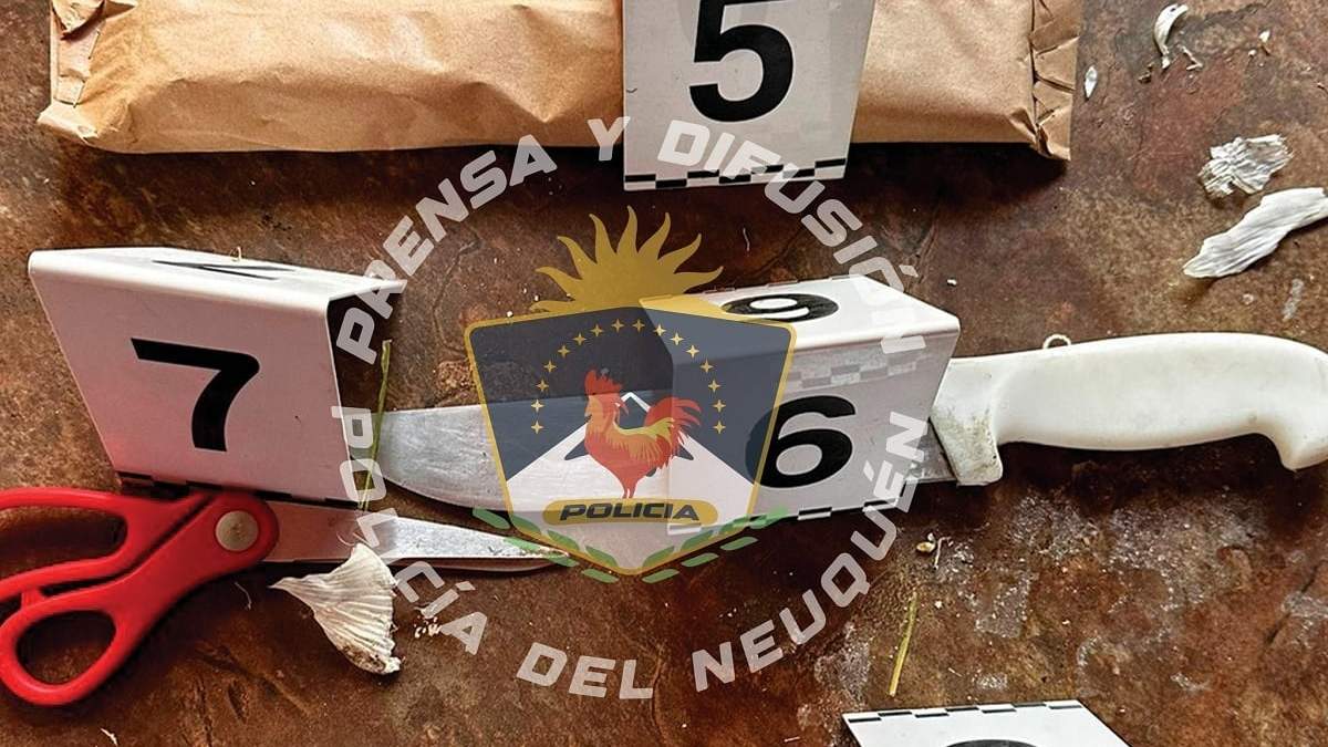 Armas usadas por los rompe ruedas en Chos Malal. Fuente (Policía de Neuquén)
