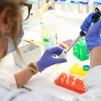 "Podrá comenzar a probarse en humanos": nuevos avances en la vacuna argentina contra el coronavirus