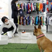 Neuquén Capital, ciudad pionera en los derechos de los animales no humanos