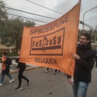 Profesionales de Salud en Plottier pararon y exigieron respuestas del Gobierno provincial