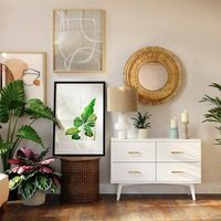 3 plantas que le darán a tu hogar un toque selvático y original
