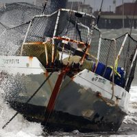 California: "14 millones de personas están bajo un alto riesgo de inundaciones", WPC