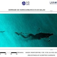 Derrame en el Golfo se originó en ducto de Pemex; se sabía desde febrero: organizaciones ambientales