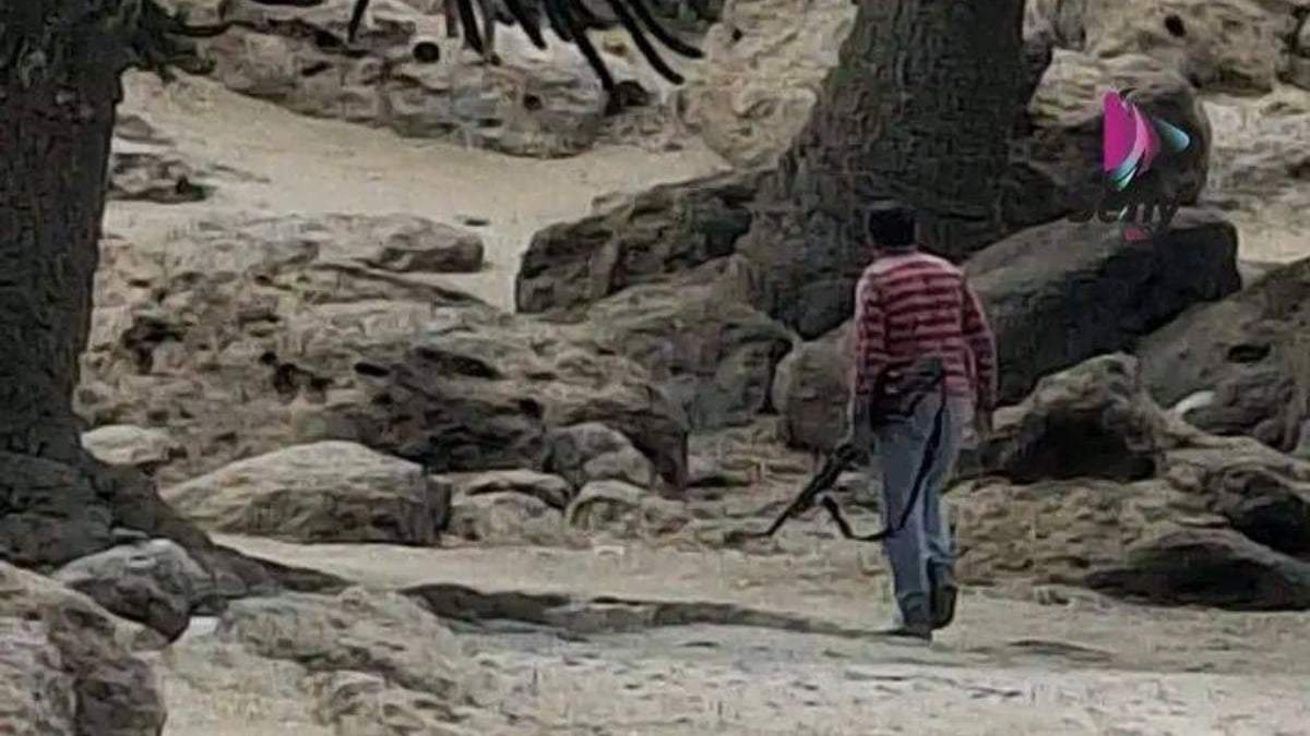 El hombre utilizó un rifle de aire comprimido para bajar piñones