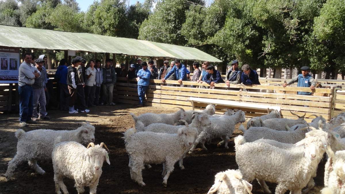 Predio del Inta