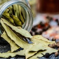 Cuál es el truco infalible con hojas de laurel que ayudarán al bienestar del hogar
