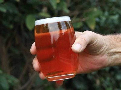 Una fiesta cervecera  de Aluminé con las marcas artesanales más prestigiosas