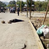 Ejecutan a líder de la CATEM y a su escolta en Oaxaca