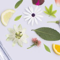 No gastes de más y hacé este perfume infantil más natural y más económico que los industriales