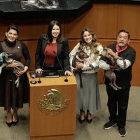 El Senado aprueba por unanimidad la reforma para la protección de animales