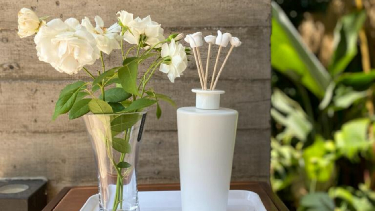 Flores difusoras. Fuente: (La Bianqueria Online)