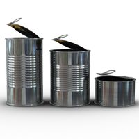 Sin vueltas, con latas vacías y con esta genial idea, creá esta maceta chic para tus plantas sin gastar de más