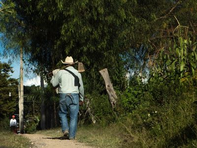 British Petroleum se aprovecha de campesinos mexicanos mediante un programa ambiental: Bloomberg