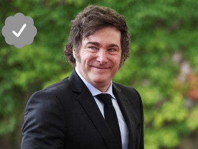 Revés para Javier Milei: un fiscal definió que sus tweets lo representan como presidente y no son del ámbito personal