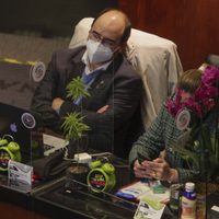 La Iglesia Católica reprueba la despenalización del uso lúdico de la mariguana