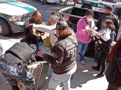 Rescatan a 12 perros maltratados en una casa de la alcaldía Gustavo A. Madero