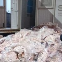 Dijo que llevaba arena, pero transportaba 7.800 kilos de carne
