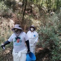 Colectivo localiza restos óseos y el cuerpo de un hombre en tres municipios del Edomex