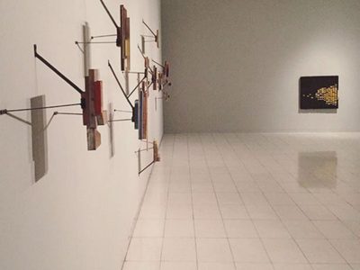 Presenta María José de Simón Casuso 'Materia animada” en el Museo de Arte Contemporáneo de SLP