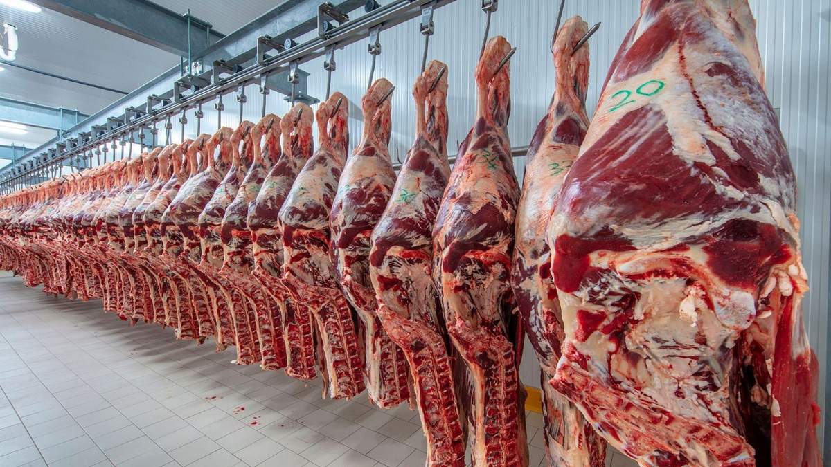 El Gobierno cerró las exportaciones por 30 días. Fuente: (Twitter)