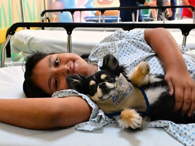 Terapias con perros ayudan a pacientes a fortalecer su bienestar emocional en el INP
