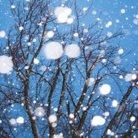 Tormentas, vientos y nevadas: estas son las alertas del SMN