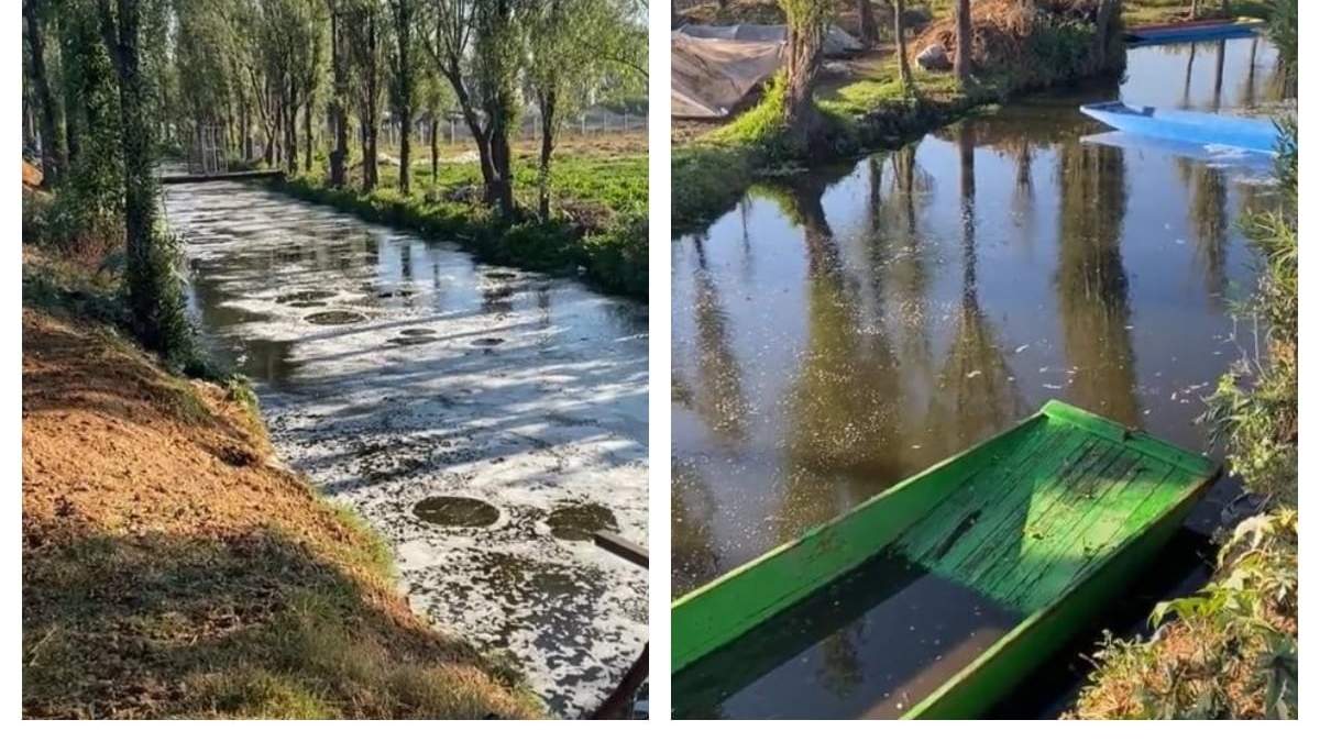 Burbujas en los canales de Tláhuac y Xochimilco durante sismo del 11 de diciembre de 2022