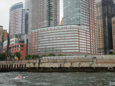 Nadador completa trayecto de 507 kilómetros por el río Hudson, superando la fatiga y aguas agitadas