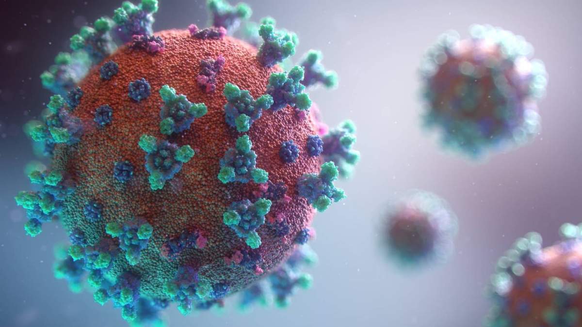 Una nueva variante de coronavirus detectada en Sudáfrica. Fuente: (Twitter)