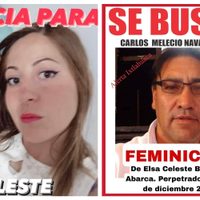 Familiares de Elsa Celeste exigen a la Fiscalía de la CDMX que capture a su feminicida