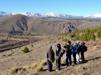 PreViaje: se viene la tercera edición y podría hacerse ley en el futuro cercano
