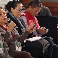 Isabel Arvide presume que fue nombrada cónsul de México en Estambul