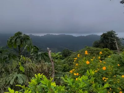 La Ciudad Perdida de Colombia: una joya arqueológica