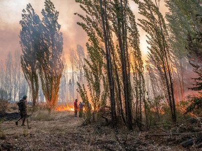 Conmoción: la Comarca Andina lamenta su tercera víctima fatal tras el brutal incendio