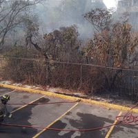 Incendio de pasto seco y hojarasca junto al Universum de CU; ya fue controlado