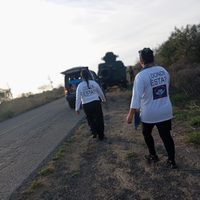 En los últimos 15 años, 22 mujeres buscadoras han sido asesinadas en el país