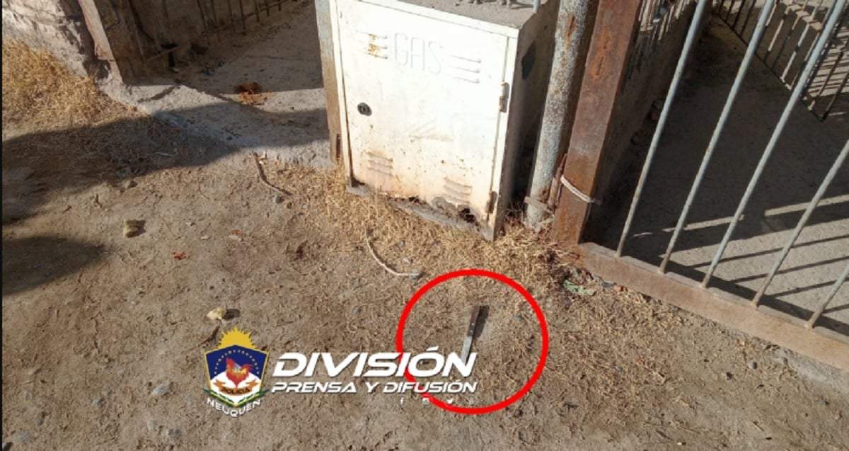 Cuchillo utilizado por el hombre. Fuente: (Policía Neuquén)